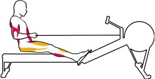 rowing concept2