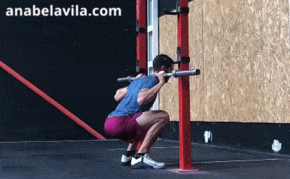 isometric back squat